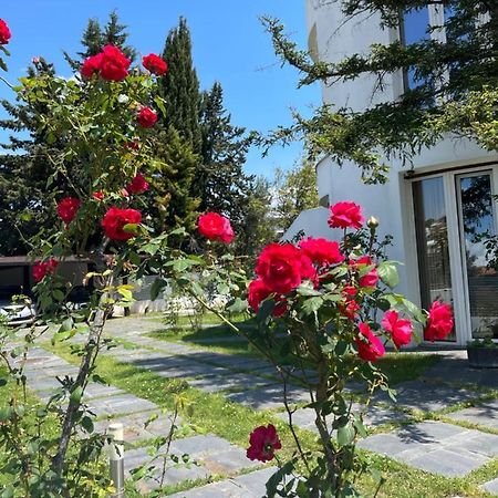 Residenza Margot Bed & Breakfast Quattromiglio Exterior photo