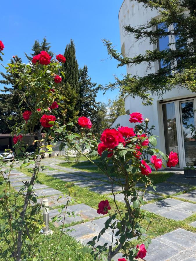 Residenza Margot Bed & Breakfast Quattromiglio Exterior photo